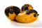 Three pieces rotten mangos close up on white background