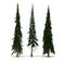 Three Pine Tree