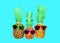 Three pineapple with sunglasses on blue background, ananas