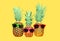 Three pineapple with sunglasses on yellow background