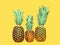 Three pineapple on yellow background