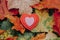 Three pink red small foam hearts lying on ground in autumn fall red yellow orange maple leaves.