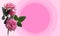 Three pink roses flower branch on pink circle on pink background, nature, valentine, decor, copy space