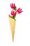 Three pink tulips in a paper cornet on white background