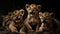 Three playful feline cubs staring, teeth bared, in nature studio generated by AI