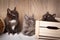 Three playful kittens are played around wooden boxes