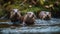 Three playful seals swimming in a wet, blue pond generated by AI