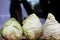 Three pointed Cabbage in a row-Sweetheart Cabbage