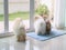 Three pomeranian puppy dogs in home