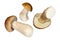Three porcini mushrooms on white background