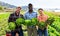 Three positive multiethnic gardeners with lettuce crop