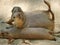 Three prairie dogs in profile and lying on their bellies in the sand