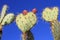 Three prickly hearts