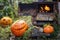 Three pumpkins Halloween on the autumn lawn with a stove and a burning fire. Big spooky helloween symbol