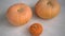 Three pumpkins on a white floor