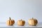 Three pumpkins on white shelf against white wall. Modern minimal autumn inspired room decoration.