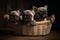 Three puppies of french bulldog in a basket on a wooden background