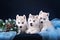 Three puppies husky and spruce wreath