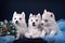 Three puppies husky and spruce wreath