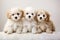 Three puppies of the Shih Tzu breed on a white background, Group portrait of adorable puppies, AI Generated