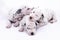 Three puppy dogs of the Dalmata breed on white background.