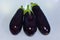 Three purple eggplants, one with a funny knot in the middle, on a white background