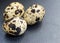 Three Quail Eggs