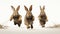 Three rabbits running on white background, AI