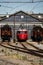 Three rains parked on the railroad, Olten, Switzerland