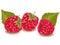 Three raspberries with leaves.