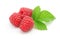 Three raspberry berries isolated