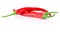 Three red chilli peppers on white background