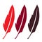 three red feather,,elegance literature writing symbol - plume, , beautiful silhouette quill,sing for zoo bird,