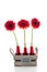 Three red gerbera\'s in glass vases