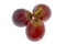Three Red Globe grapes