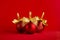 Three red glossy different christmas balls with gold shimmer bow on bright red background, copy space. Christmas background.