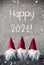 Three Red Gnomes, Cement, Snowflakes, Text Happy 2021