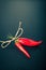 Three red hot chilli pepper with rope on old black background. T