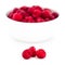 Three red juicy raspberries in front of white bowl with more raspberries