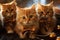 three red kittens with bows, festive background, Christmas decoration for New Year holidays, winter season