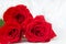 Three Red Roses with boke Background. copy space - Valentines and 8 March Mother Women's Day concept