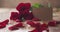 Three red roses with empty paper card on old wood table focus pull