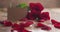 three red roses with empty paper card on old wood table focus pull