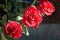 Three red roses in full bloom.