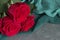 Three red roses on gray concrete background.
