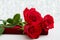 Three Red Roses and jewelery present box with boke Background. copy space - Valentines and 8 March Mother Women`s Day concept