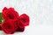 Three Red Roses and jewelery present box with boke Background. copy space - Valentines and 8 March Mother Women`s Day concept