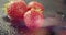 Three red strawberries with bokeh on dark background,seasonal local fresh berry