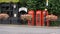 Three red telephone booths in Greenwich, London, England