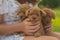 three red toy poodles are sitting in the arms of a girl in the garden